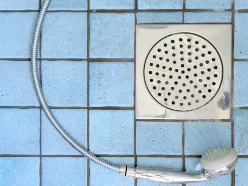 Shower Drain